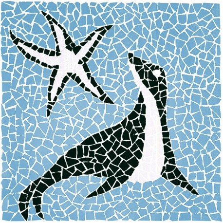 Foca 100x100cm