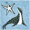 Foca 100x100cm