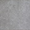Vega Base de 33x33cm CLASE 1 / CLASE 2