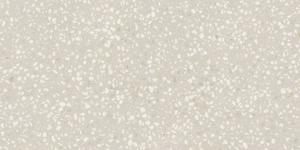300X600  ART WHITE RT