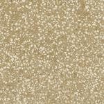 200X200  D_SEGNI SCA YEL