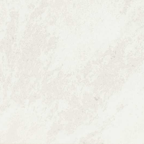 White Rhino
