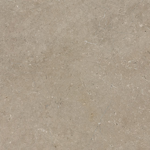 Limestone Taupe