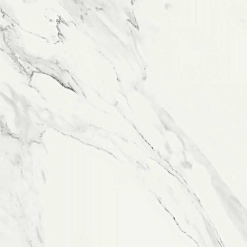 Venato