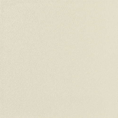 Neutral White