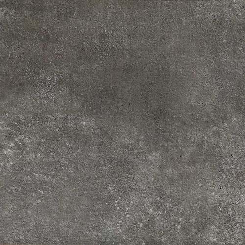 Tortora