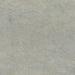 Gray Gray