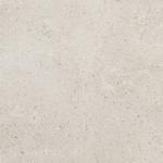 600X600  GRIS FLR.BI RT