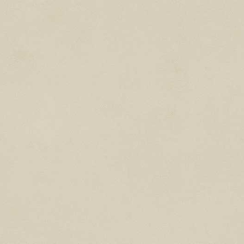 Beige Beige