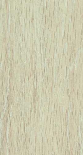 Avorio