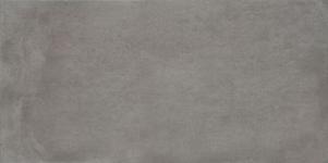 300X600  POWDER GRAP RT