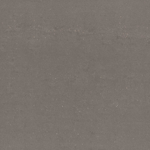 Tortora