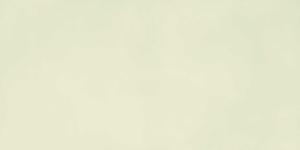 600X1200 SIS_S OSS RT