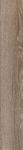 100X700  TRVRKCHARME TAU