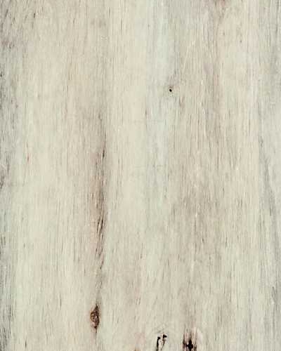 Teak Africa