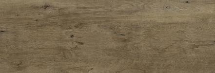 400X1200 TRDEAR20 BRO RT