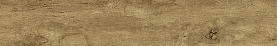 200X1200 TRVKDEAR NAT RT