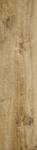 300X1200 TRKHOME LARICE