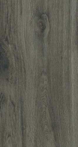 Rovere Tortora