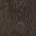 Quercia Quercia