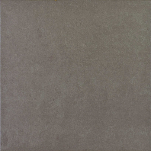 Tortora