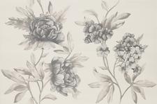 650X977  IMPERF.PE FLORE