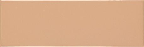 100X300  MELLOW GINGER