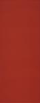200X500  SHINE CORAL
