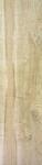 300X1200 TRKHOME BETULLA