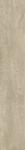 200X1200 TREVERKTIME BG.