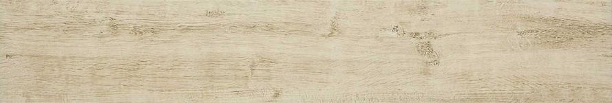 150X900  TRVWAY BETULLA