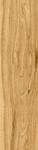 125X500  VISUAL BG OUT
