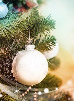 El árbol de Navidad de Paola Marella