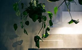 Marazzi London