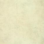 STONE-IVORY RETT.