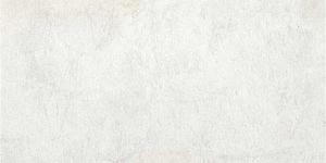 STONE-WHITE RETT.