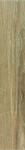 150X900  PLANET BEIGE