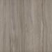 Silk Georgette