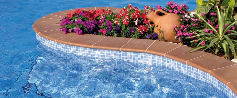 PISCINA PRIVADA 18
