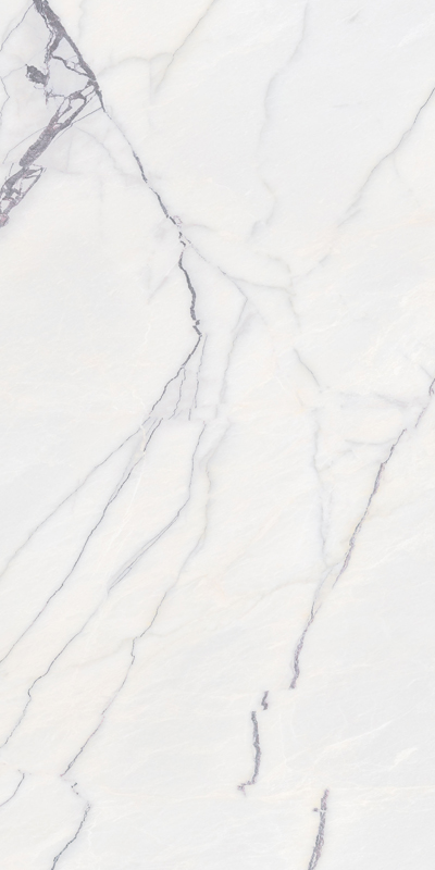 albany_blanco