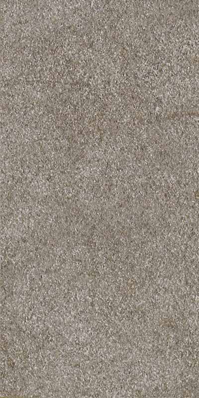 stone-liquen