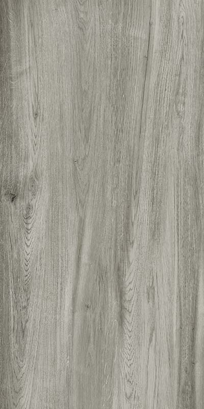 stecca_grey