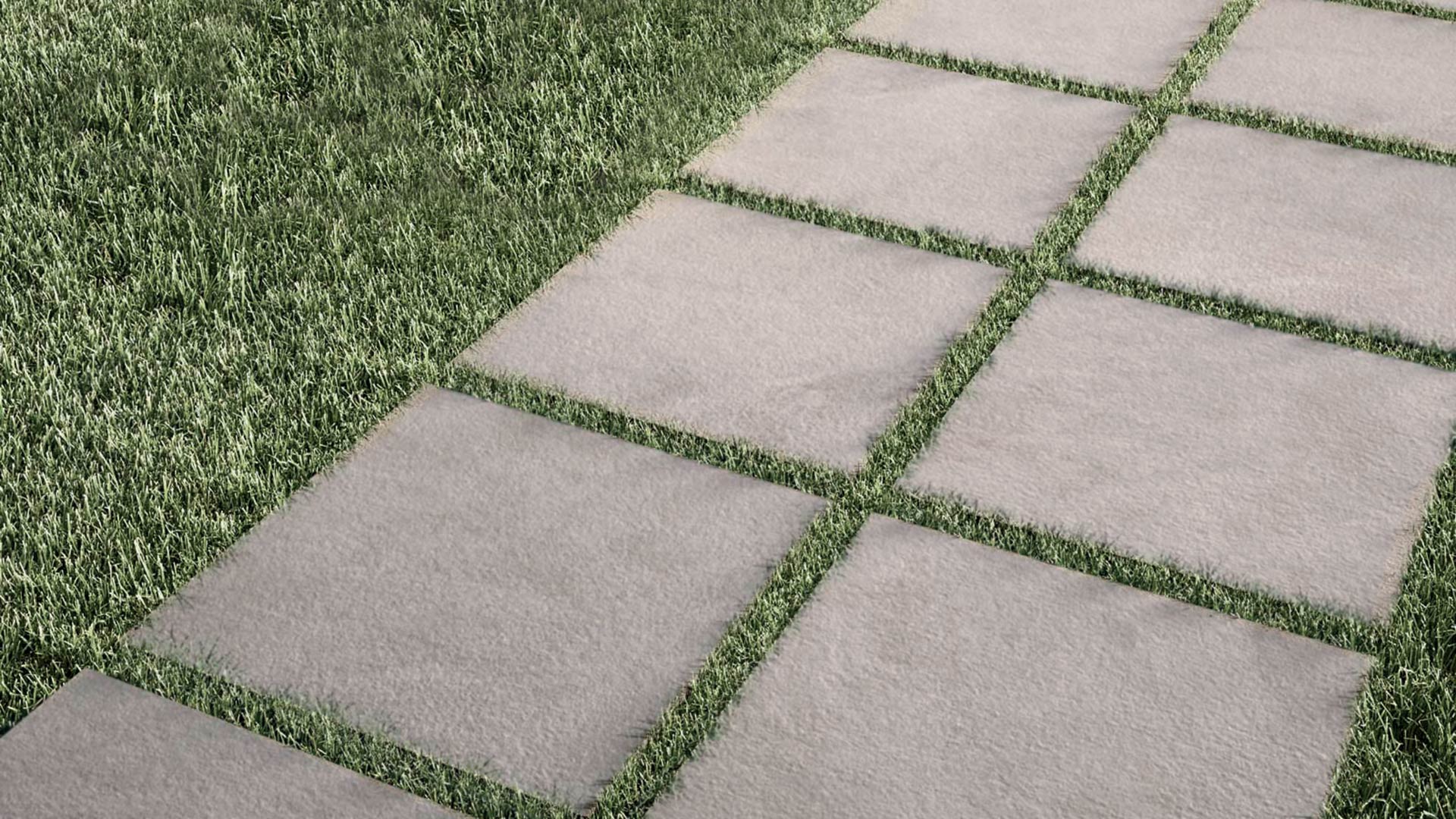 T20 Cementi
