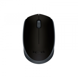 Raton Óptico M171 Inalambrico Negro