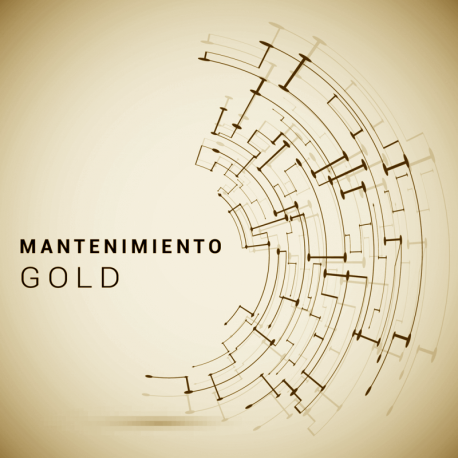 Comprar Mantenimiento GOLD (a partir de 5 ordenadores)