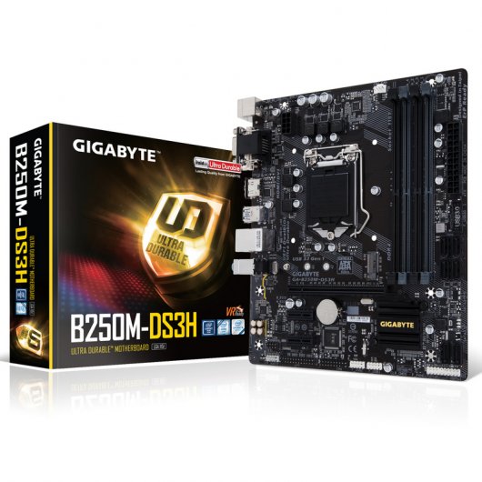 Gigabyte GA-B250M-DS3H