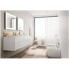 Pack mueble Unik Beyond con doble Lavabo Surfex Roca