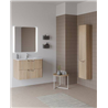 Mueble de ba&ntilde;o 2 cajones con lavabo cer&aacute;mico 100cm Life Royo