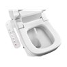 Inodoro Multiclean vertical Dama Retro Roca 