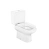 Inodoro Multiclean vertical Dama Retro Roca 